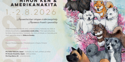 erkkari2026_mainos_kuva_686x